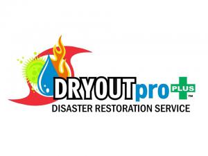DRYOUTpro PLUS